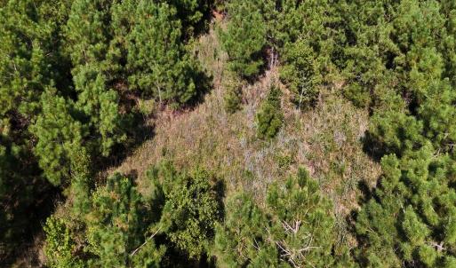 Photo #30 of Off of Lagrange Rd., LaGrange, NC 86.7 acres