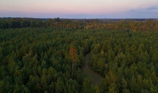 Photo #31 of Off of Lagrange Rd., LaGrange, NC 86.7 acres