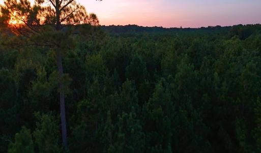 Photo #32 of Off of Lagrange Rd., LaGrange, NC 86.7 acres