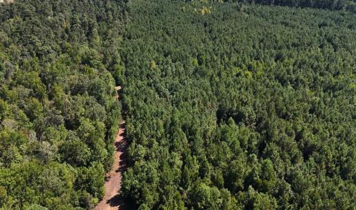 Photo #33 of Off of Lagrange Rd., LaGrange, NC 86.7 acres