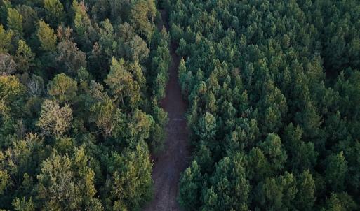 Photo #34 of Off of Lagrange Rd., LaGrange, NC 86.7 acres