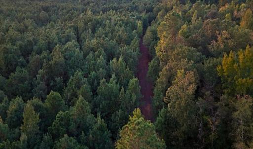 Photo #35 of Off of Lagrange Rd., LaGrange, NC 86.7 acres