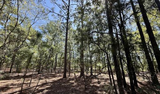Photo #14 of Lot 10 Marks Rd, Cameron, NC 1.1 acres