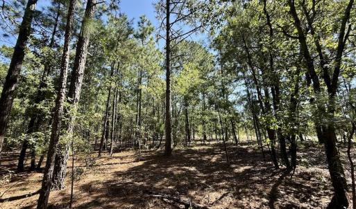 Photo #16 of Lot 10 Marks Rd, Cameron, NC 1.1 acres