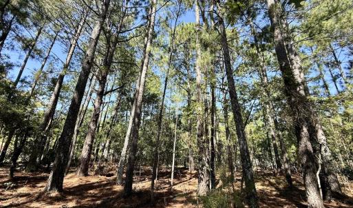 Photo #17 of Lot 10 Marks Rd, Cameron, NC 1.1 acres