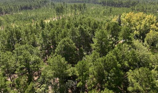 Photo #5 of Lot 10 Marks Rd, Cameron, NC 1.1 acres