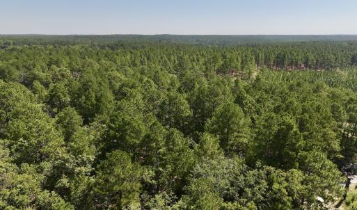 Photo #7 of Lot 10 Marks Rd, Cameron, NC 1.1 acres