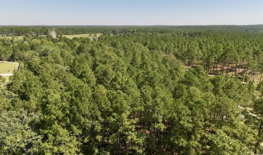 Photo #8 of Lot 10 Marks Rd, Cameron, NC 1.1 acres