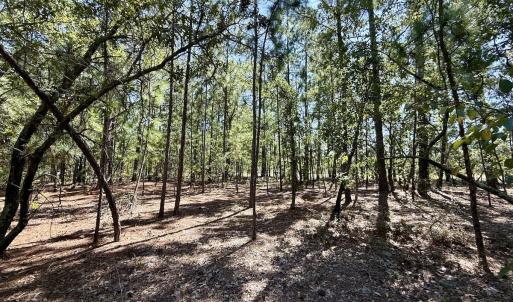 Photo #14 of Lot 11 Marks Rd, Cameron, NC 1.1 acres