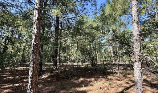 Photo #16 of Lot 11 Marks Rd, Cameron, NC 1.1 acres