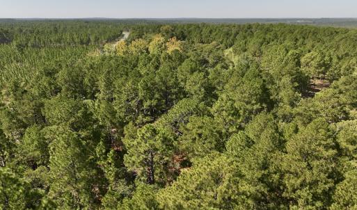 Photo #4 of Lot 11 Marks Rd, Cameron, NC 1.1 acres