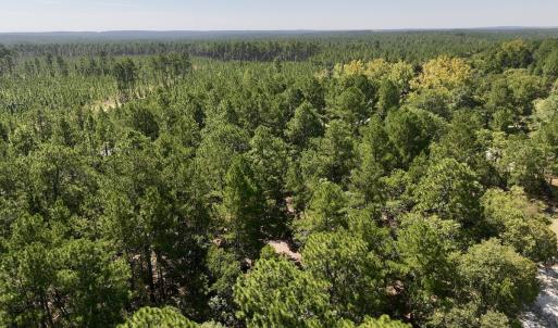 Photo #5 of Lot 11 Marks Rd, Cameron, NC 1.1 acres