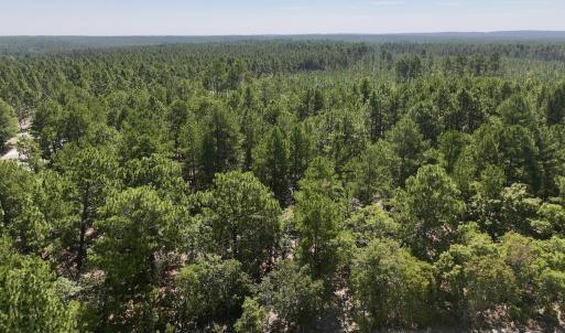 Photo #6 of Lot 11 Marks Rd, Cameron, NC 1.1 acres