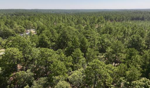 Photo #7 of Lot 11 Marks Rd, Cameron, NC 1.1 acres