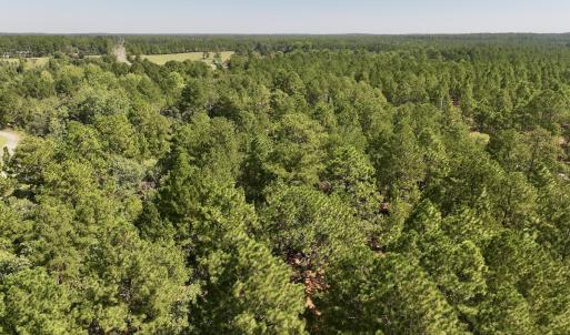 Photo #8 of Lot 11 Marks Rd, Cameron, NC 1.1 acres