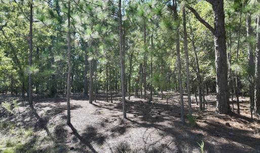 Photo #12 of Lot 12 Marks Rd, Cameron, NC 1.0 acres