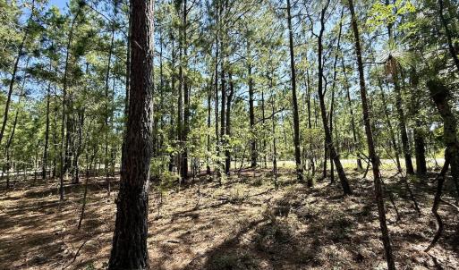 Photo #17 of Lot 12 Marks Rd, Cameron, NC 1.0 acres