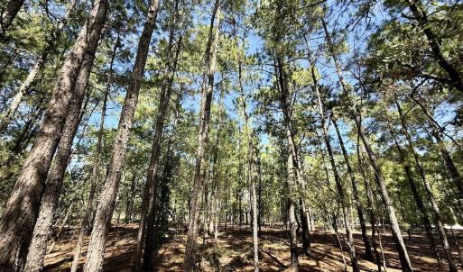 Photo #18 of Lot 12 Marks Rd, Cameron, NC 1.0 acres