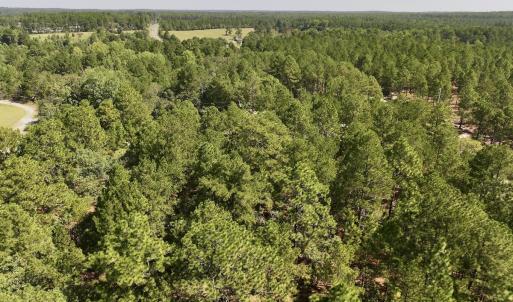 Photo #8 of Lot 12 Marks Rd, Cameron, NC 1.0 acres