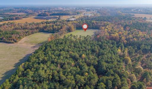 Photo #8 of Off of High School Road, Teachey, NC 41.5 acres