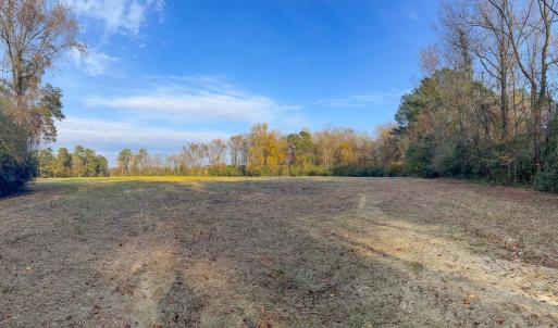 Photo #12 of Off of High School Road, Teachey, NC 41.5 acres