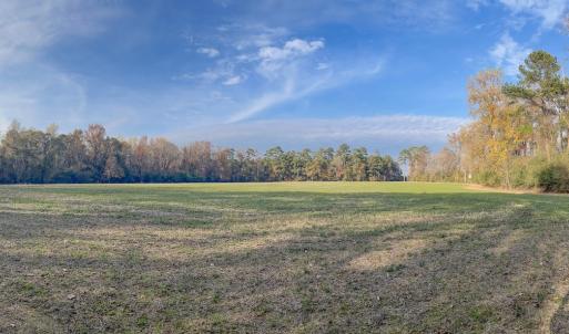 Photo #16 of Off of High School Road, Teachey, NC 41.5 acres