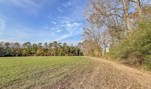 Photo #18 of Off of High School Road, Teachey, NC 41.5 acres