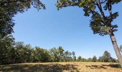 Photo #17 of Off of Timberland Trail, Huddleston, VA 64.3 acres