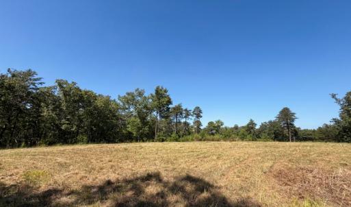 Photo #18 of Off of Timberland Trail, Huddleston, VA 64.3 acres