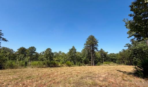 Photo #22 of Off of Timberland Trail, Huddleston, VA 64.3 acres