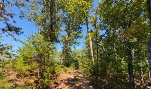 Photo #23 of Off of Timberland Trail, Huddleston, VA 64.3 acres