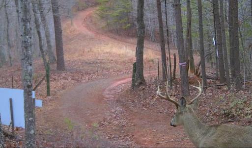 Photo #29 of Off of Timberland Trail, Huddleston, VA 64.3 acres