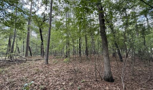 Photo #13 of Off of Elfman Dr, Spring Lake, NC 0.5 acres