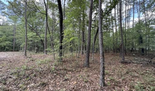 Photo #14 of Off of Elfman Dr, Spring Lake, NC 0.5 acres
