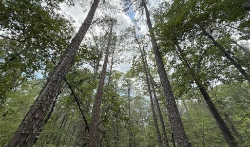 Photo #15 of Off of Elfman Dr, Spring Lake, NC 0.5 acres