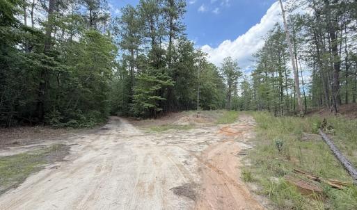 Photo #23 of Off of Elfman Dr, Spring Lake, NC 0.5 acres
