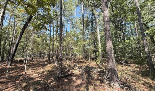 Photo #27 of Off of Elfman Dr, Spring Lake, NC 0.5 acres
