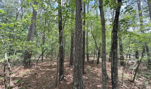 Photo #30 of Off of Elfman Dr, Spring Lake, NC 0.5 acres