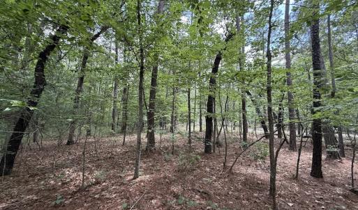 Photo #31 of Off of Elfman Dr, Spring Lake, NC 0.5 acres