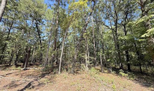 Photo #38 of Off of Elfman Dr, Spring Lake, NC 0.5 acres