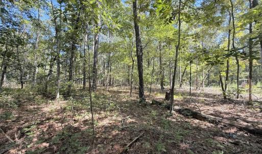 Photo #39 of Off of Elfman Dr, Spring Lake, NC 0.5 acres