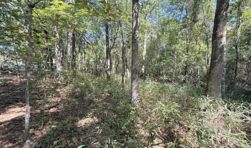 Photo #40 of Off of Elfman Dr, Spring Lake, NC 0.5 acres