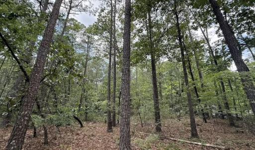 Photo #5 of Off of Elfman Dr, Spring Lake, NC 0.5 acres