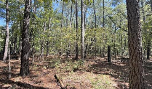 Photo #6 of Off of Elfman Dr, Spring Lake, NC 0.5 acres