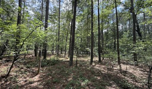 Photo #9 of Off of Elfman Dr, Spring Lake, NC 0.5 acres