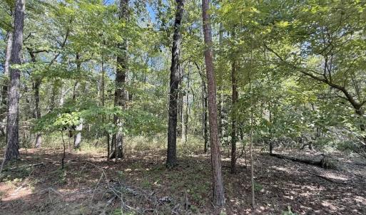 Photo #41 of Off of Elfman Dr, Spring Lake, NC 0.5 acres