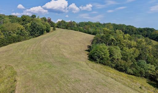 Photo #13 of 576 Alpine Rd, Buchanan, VA 86.4 acres