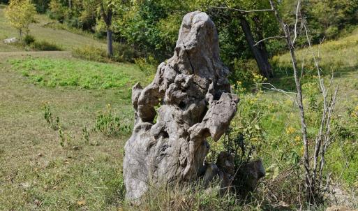 Photo #19 of 576 Alpine Rd, Buchanan, VA 86.4 acres