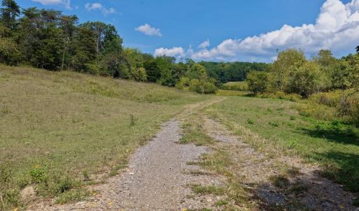 Photo #20 of 576 Alpine Rd, Buchanan, VA 86.4 acres