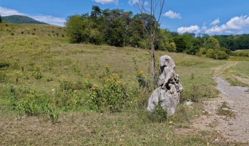 Photo #21 of 576 Alpine Rd, Buchanan, VA 86.4 acres